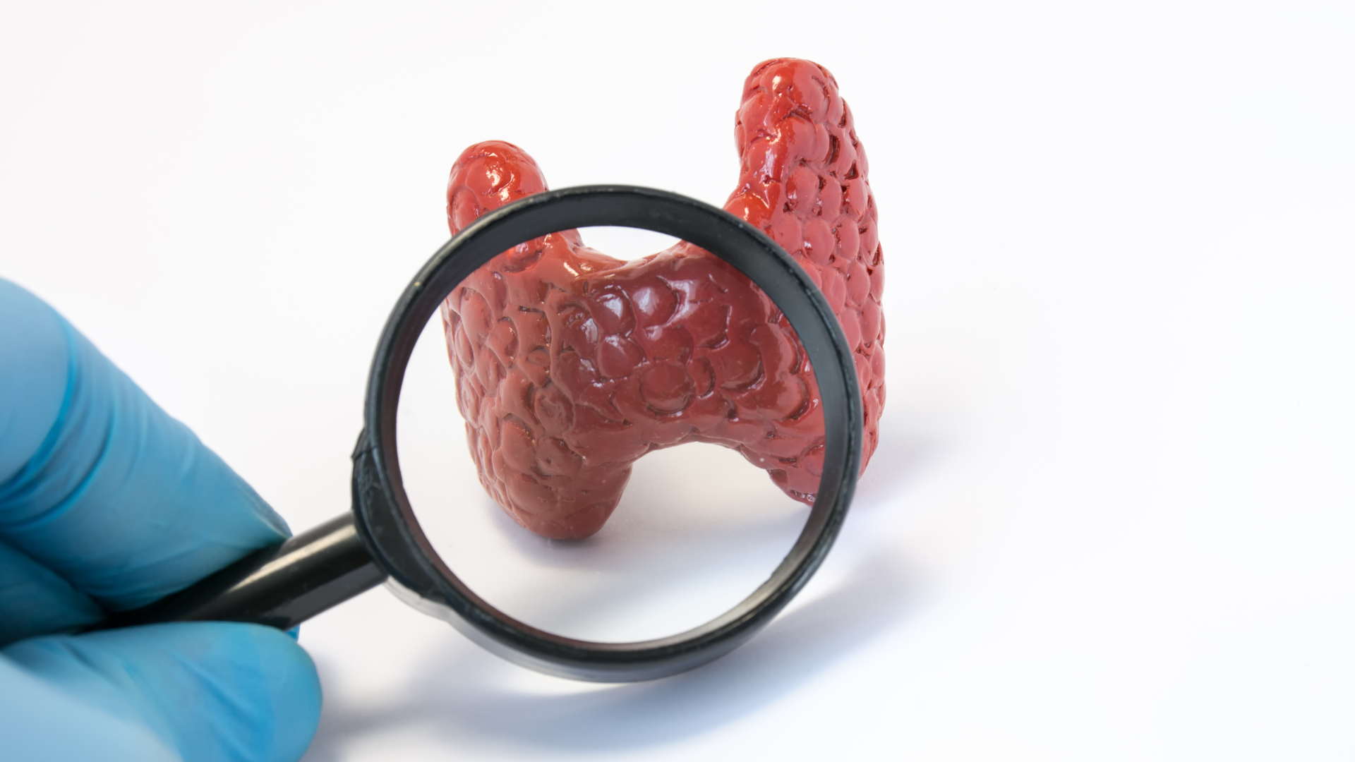 Augusta Acupuncture Clinic | Integrative Thyroid Doctor in Augusta: Natural Solutions for Thyroid Health