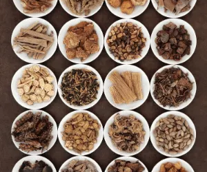 Herbal Formulas for Stress, Sleep, and Recovery